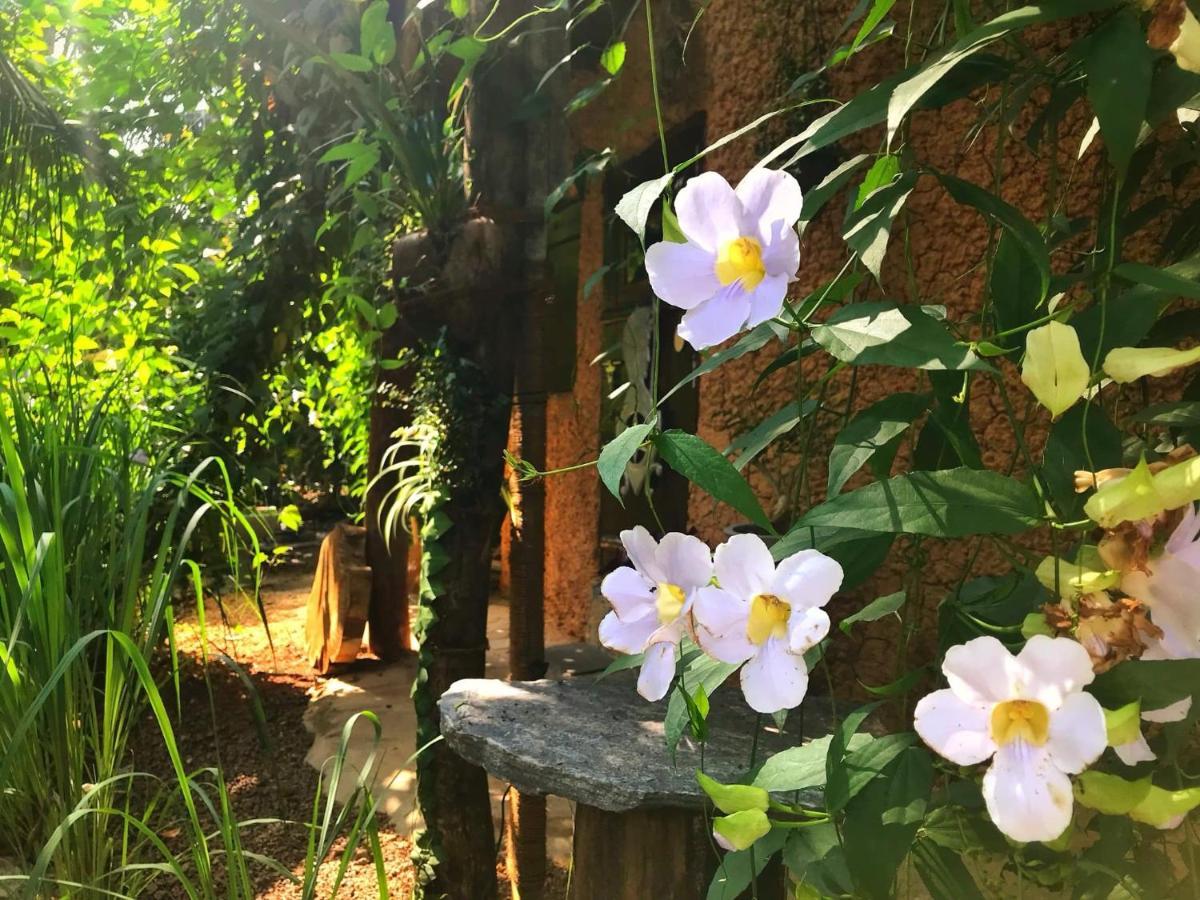 Earth House Sri Lanka Villa Neboda Exterior photo