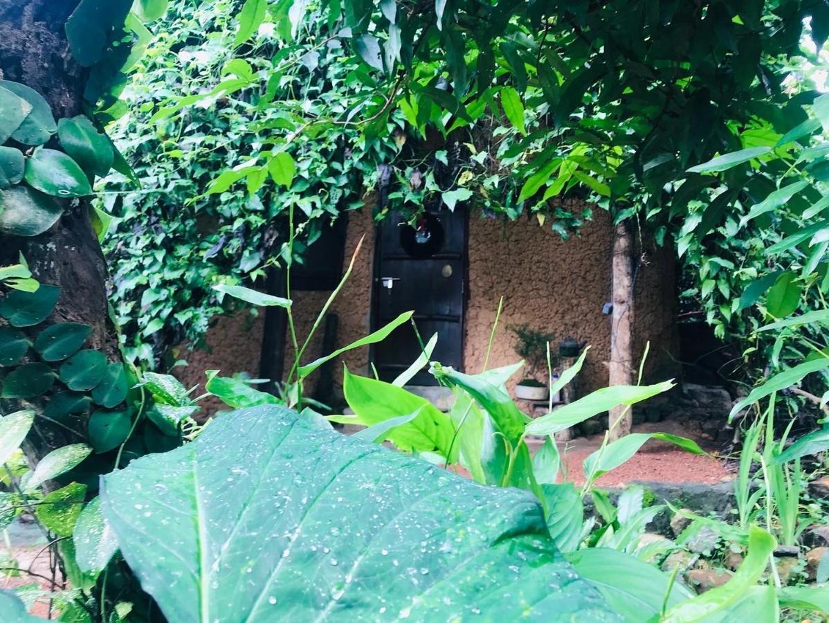 Earth House Sri Lanka Villa Neboda Exterior photo