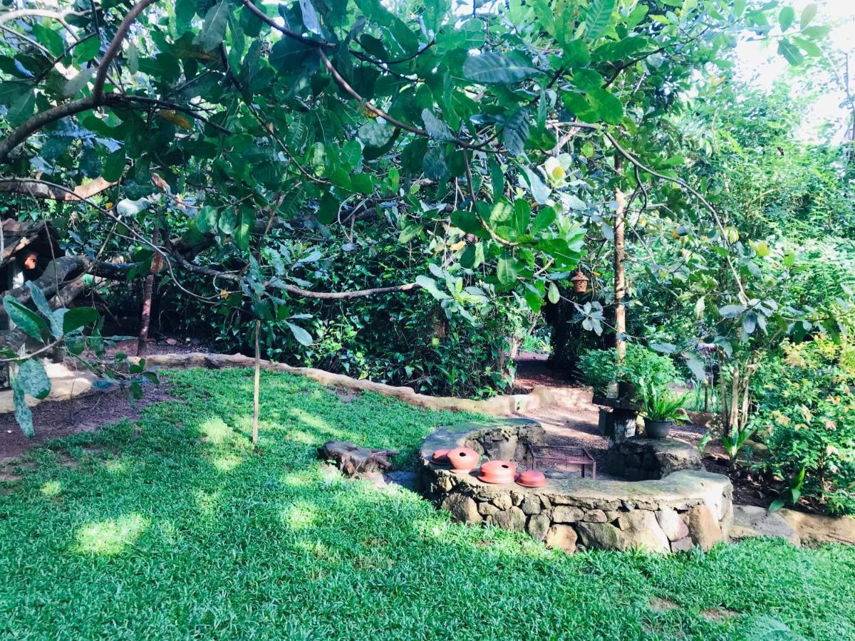 Earth House Sri Lanka Villa Neboda Exterior photo