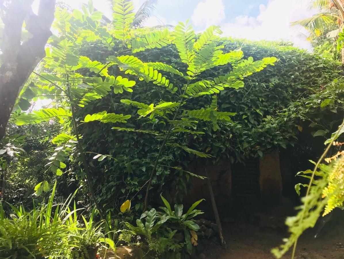 Earth House Sri Lanka Villa Neboda Exterior photo