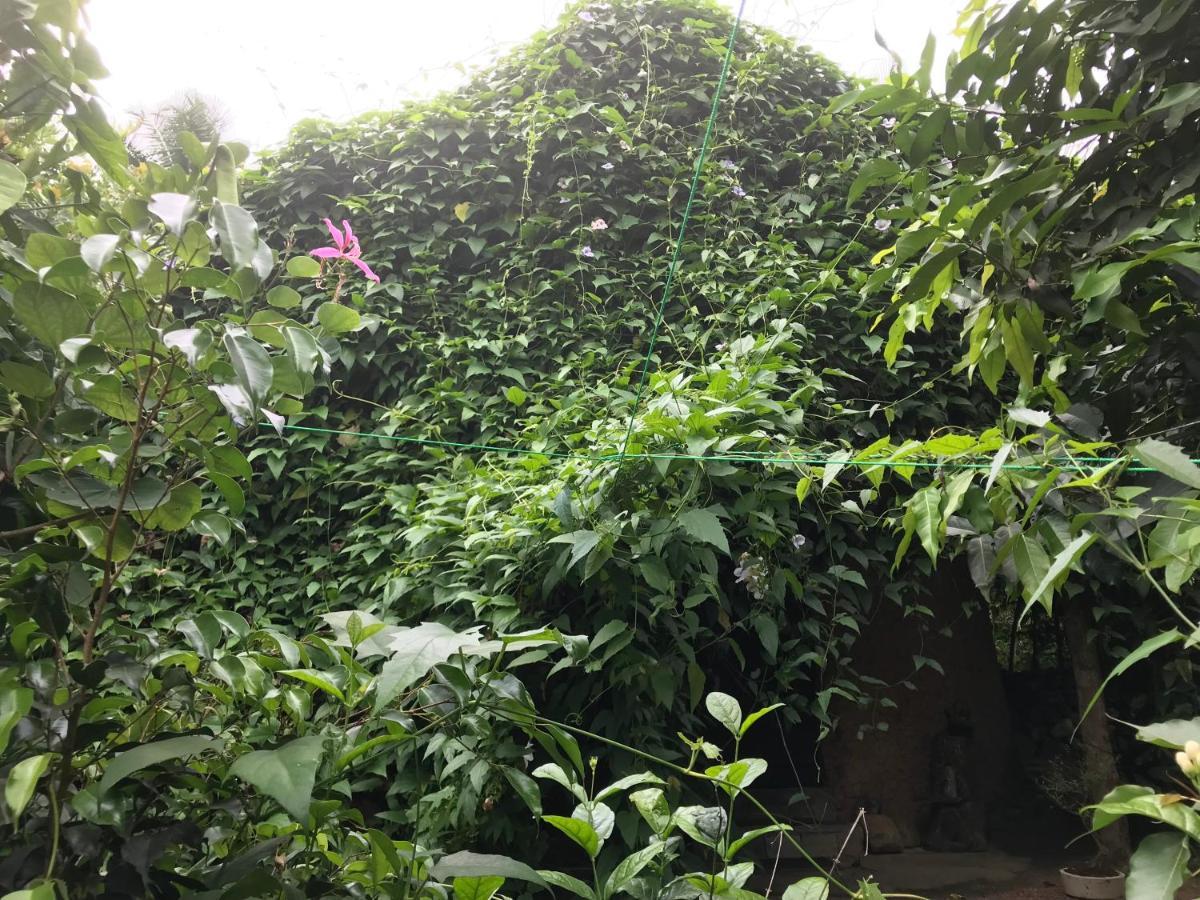 Earth House Sri Lanka Villa Neboda Exterior photo